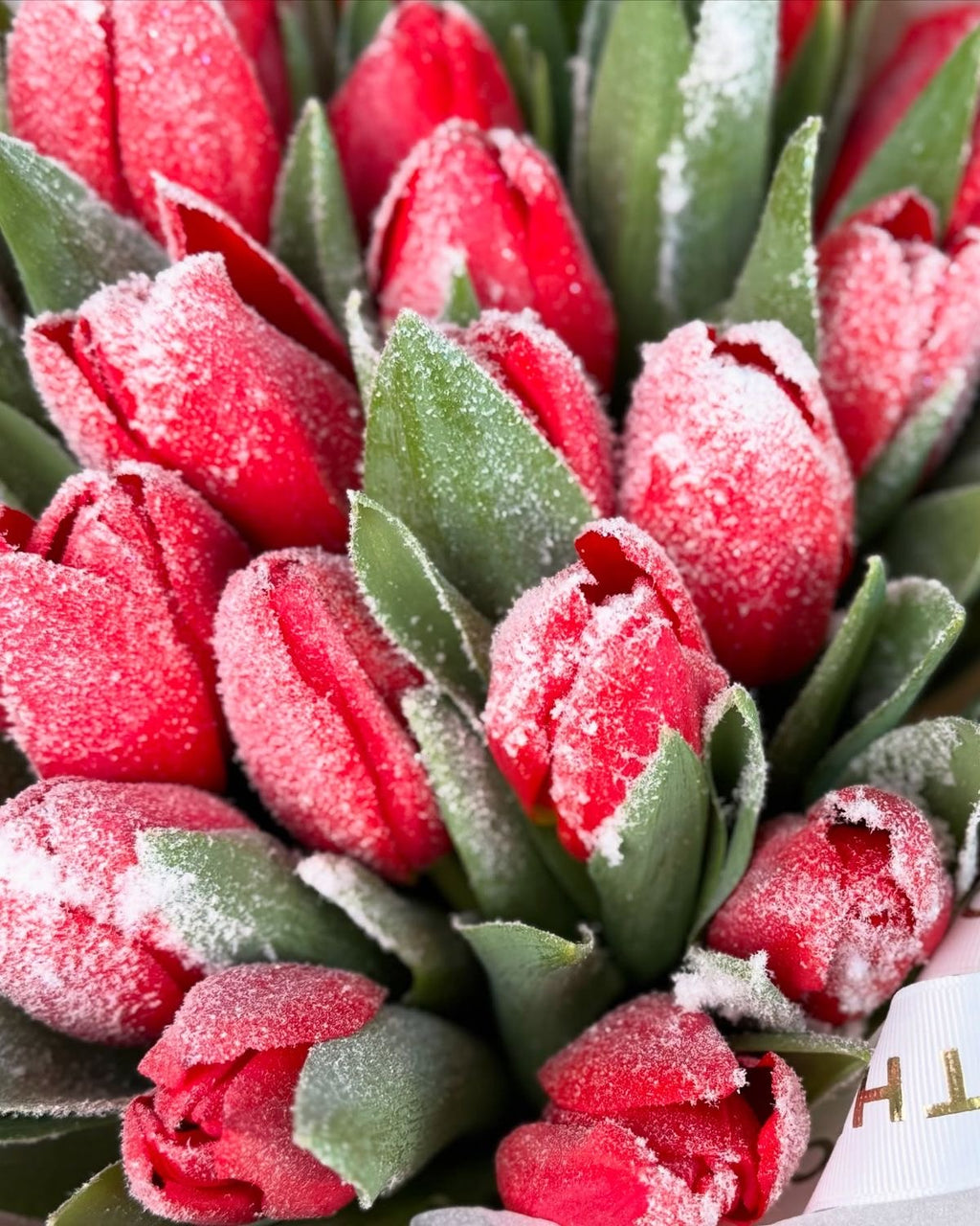 Ανθοδέσμη Frost Tulips